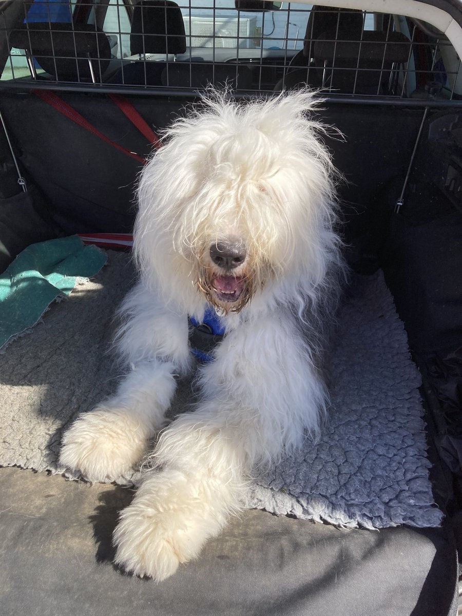 Rhys and 🌈Harry 🇺🇦🌻 tweet media