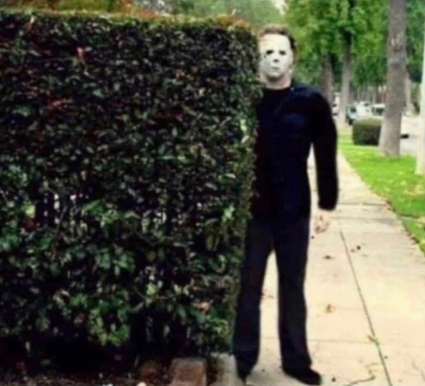 Geitor Gusto |🐊 | tweet media