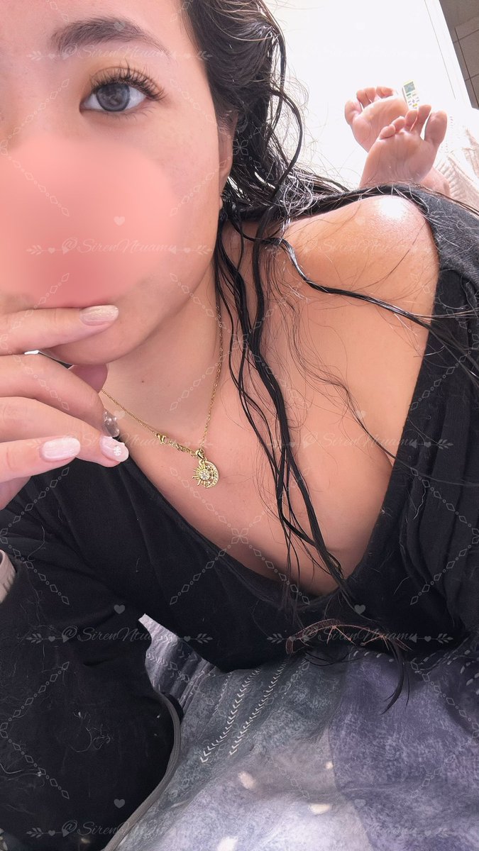 貓科動物 tweet media