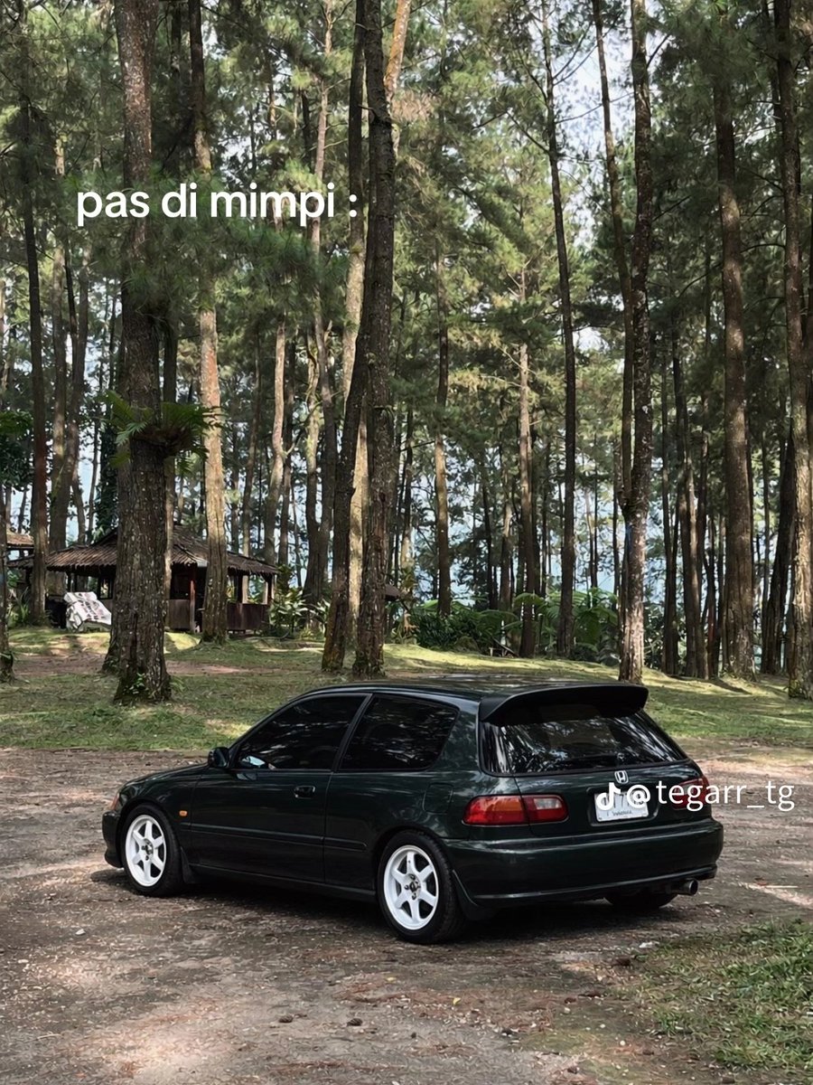 :.:..:::...:.: tweet media