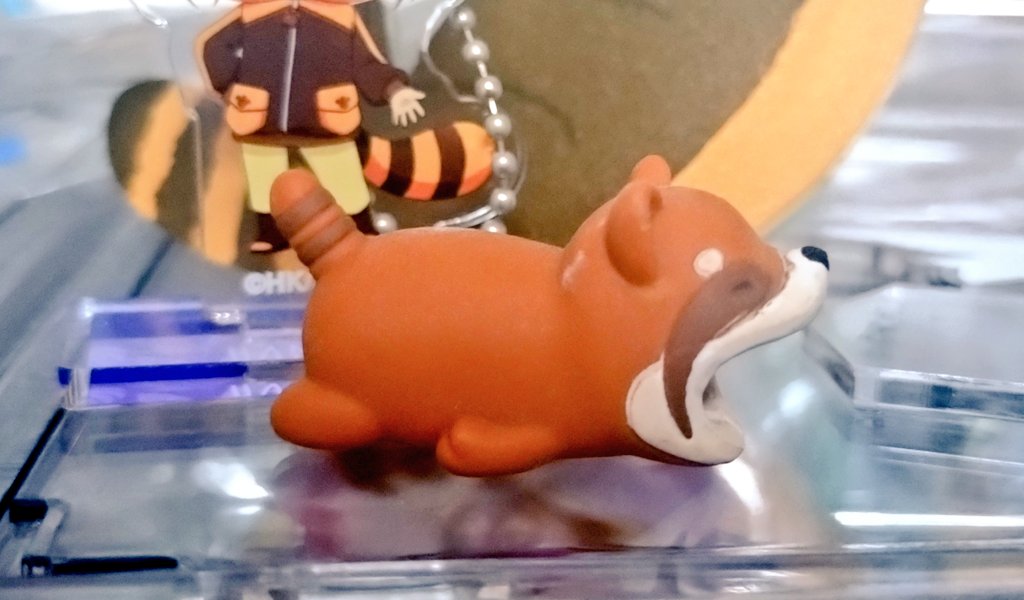 もみじーぬ tweet media