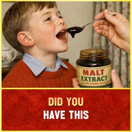 FlyFifer tweet media