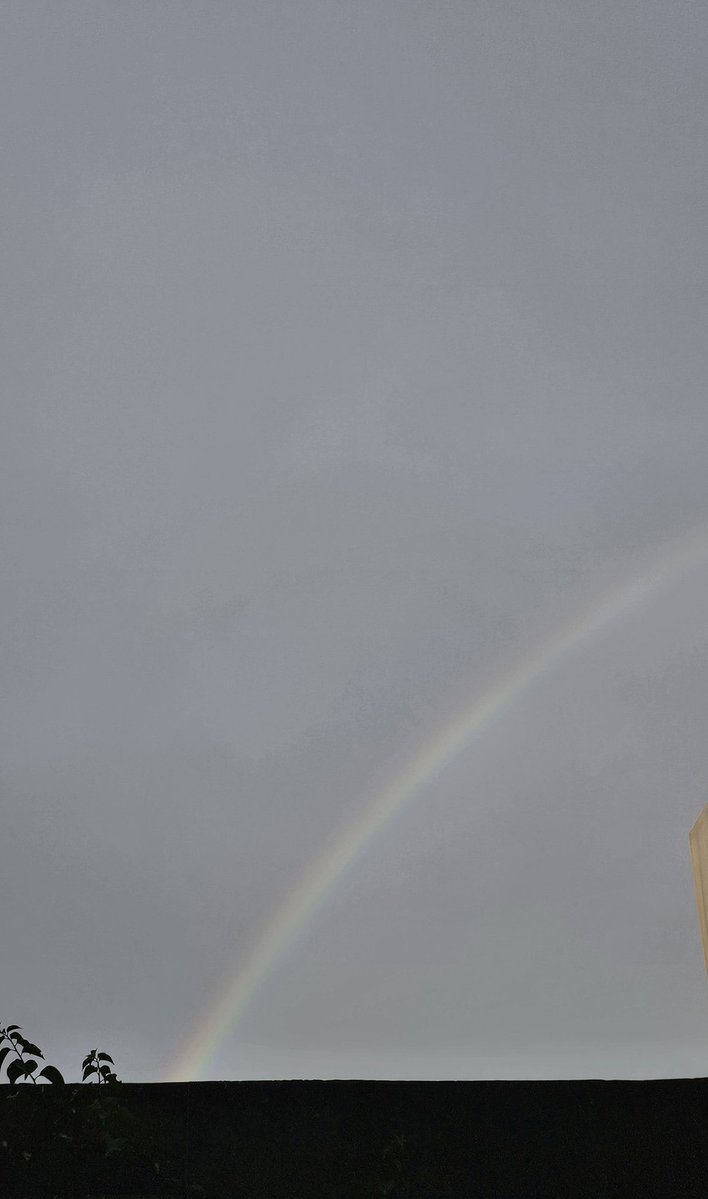 فاطمه tweet media