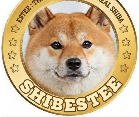 Aminobi Diasime Jackson tweet media