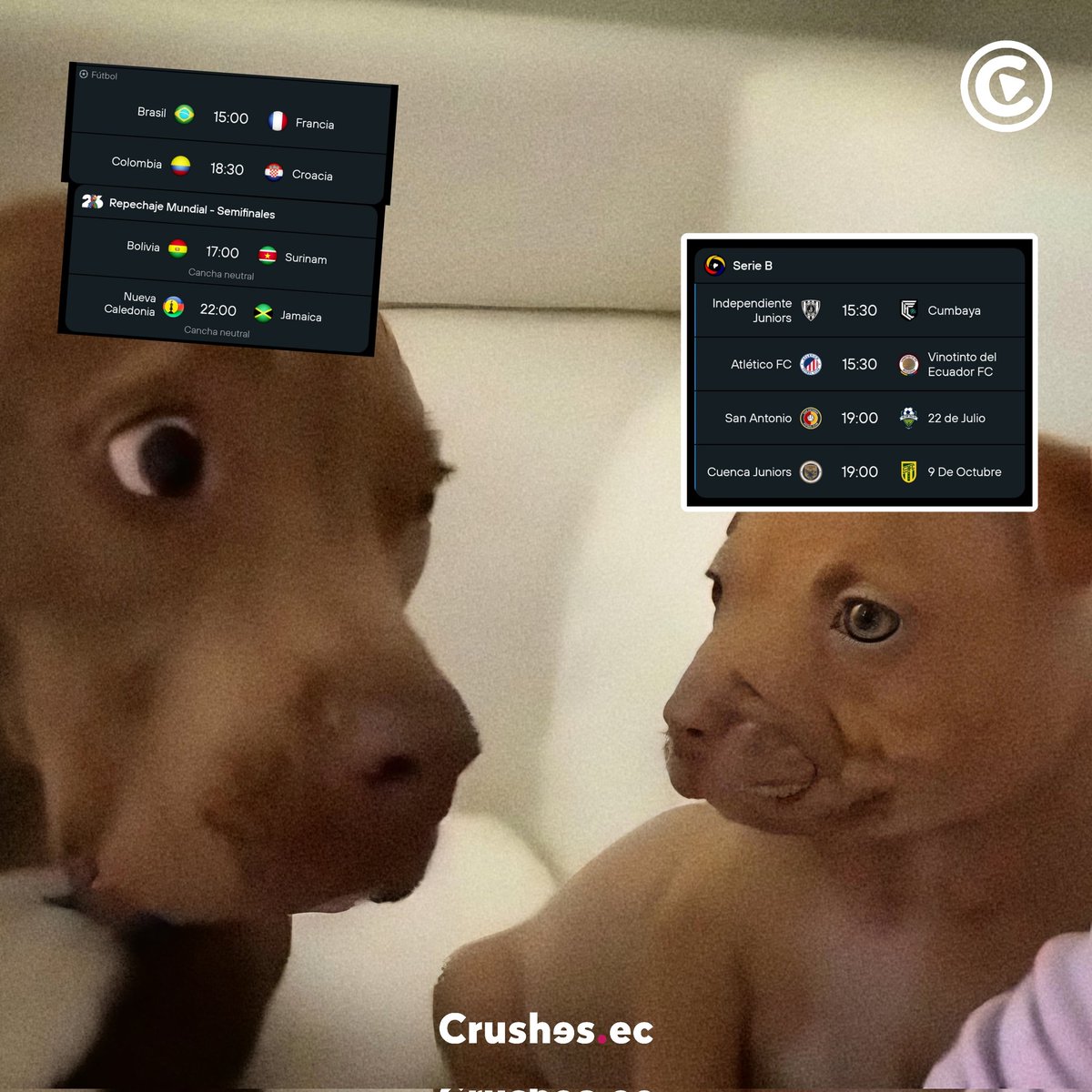 Crushes EC tweet media