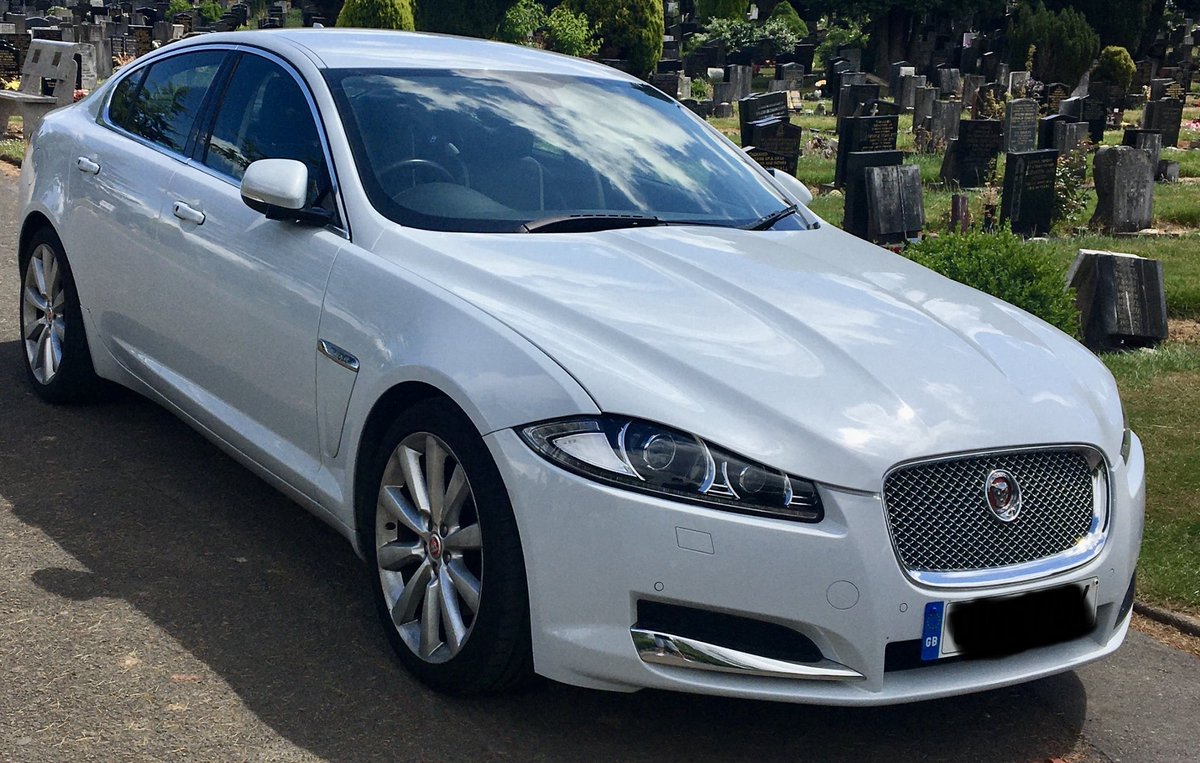 Tom Mongan tweet media