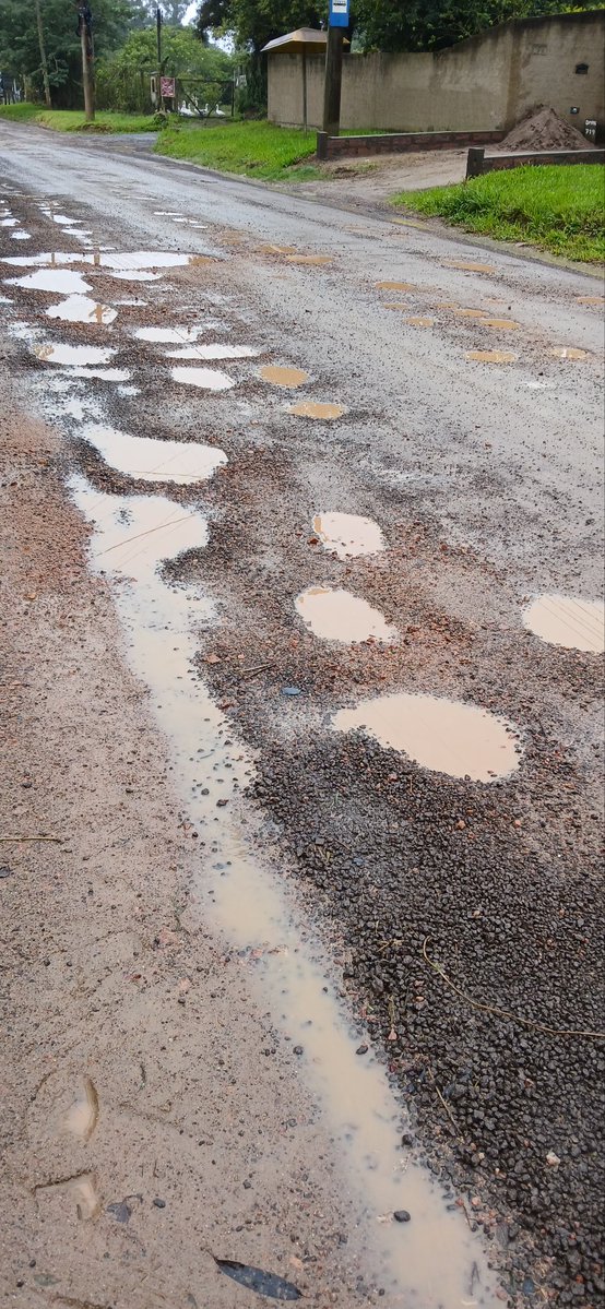 Marcelo Figurelli 🇮🇩 tweet media