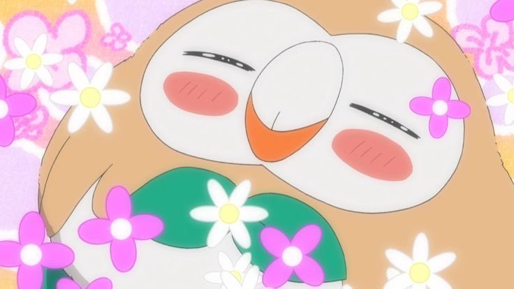 빼빼미 tweet media