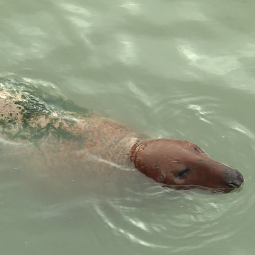 Le Média Positif 🍀 tweet media