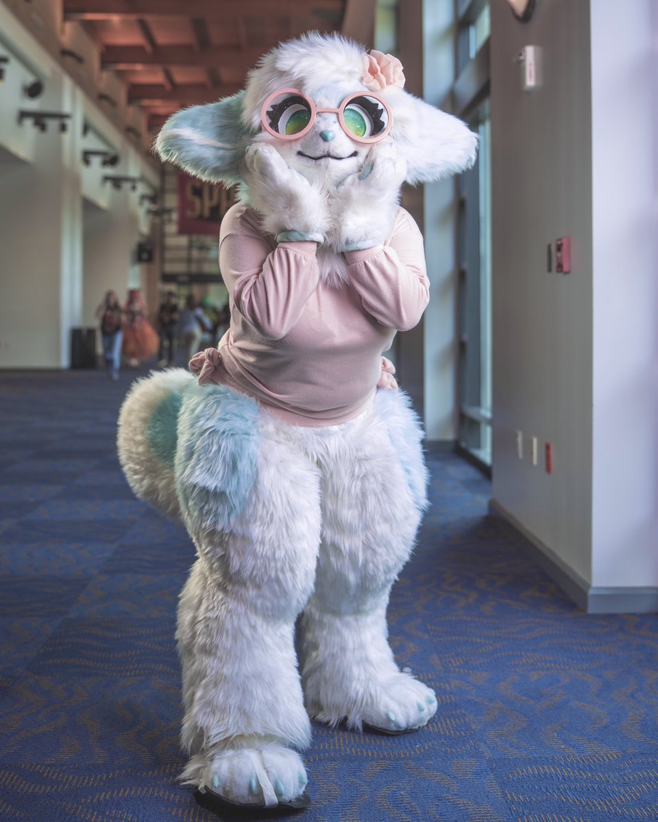 🌸Harlow🌸 @TFF!!! tweet media