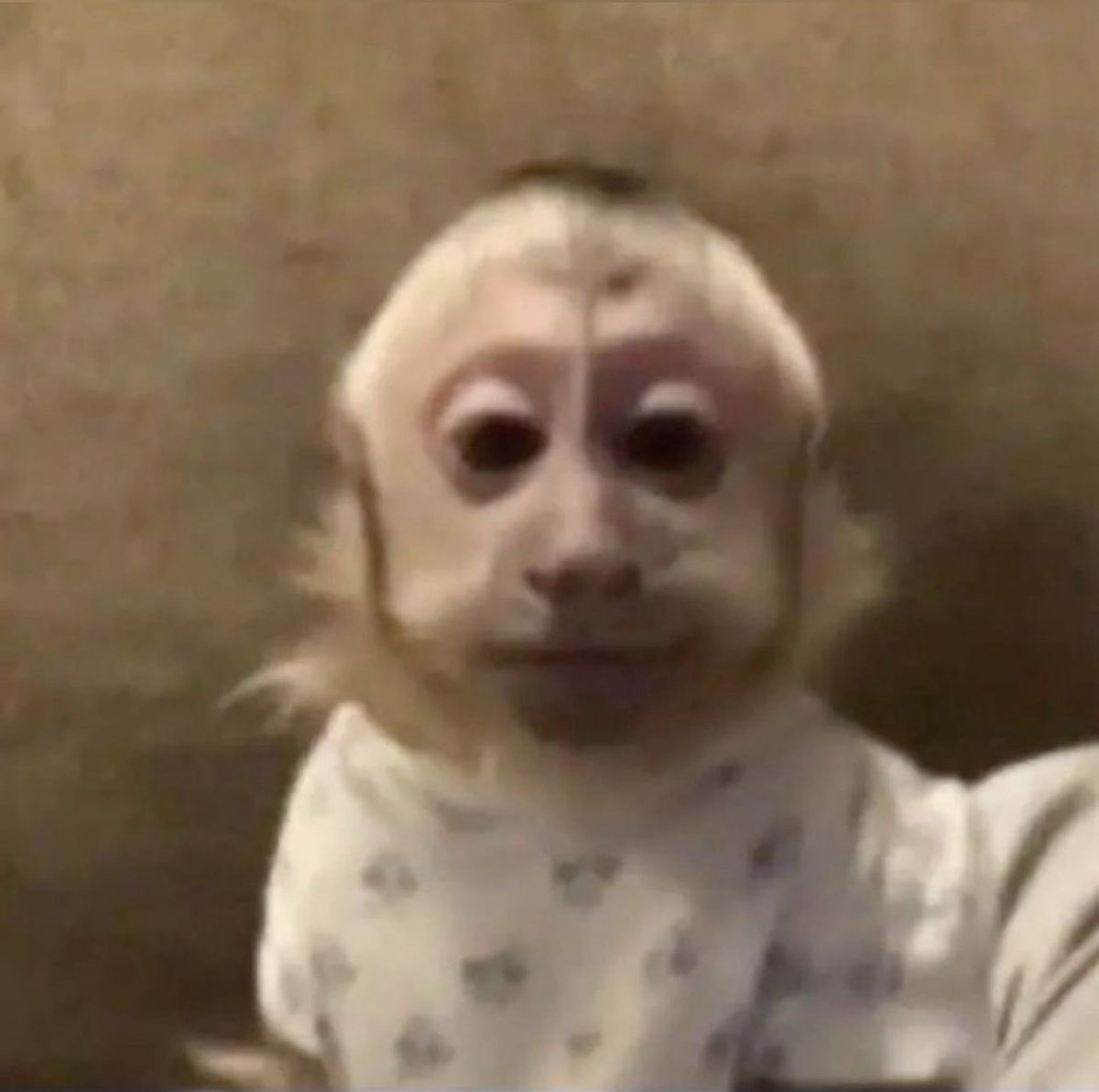 Djariata🧡 tweet media