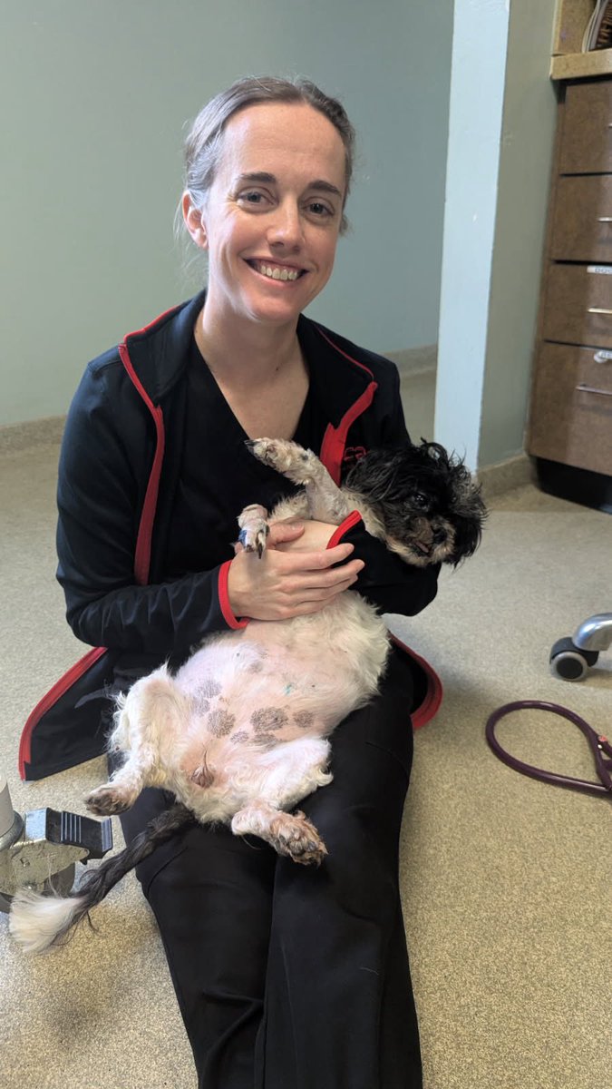 SPCA Cincinnati tweet media