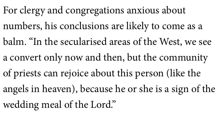 Madeleine Davies tweet media