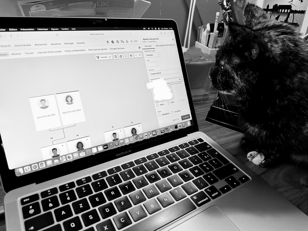 Chablis et Chartreuse🎀 tweet media