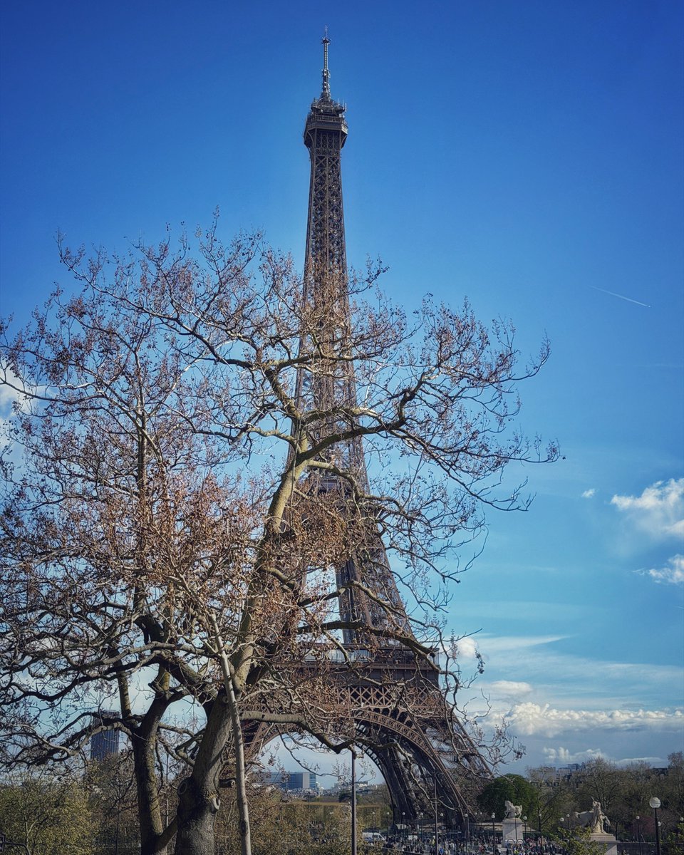 Doug@宮古島🐕 tweet media