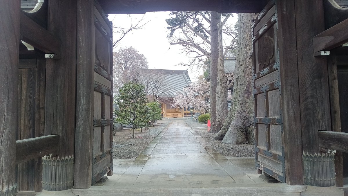 Smile MoMo tweet media