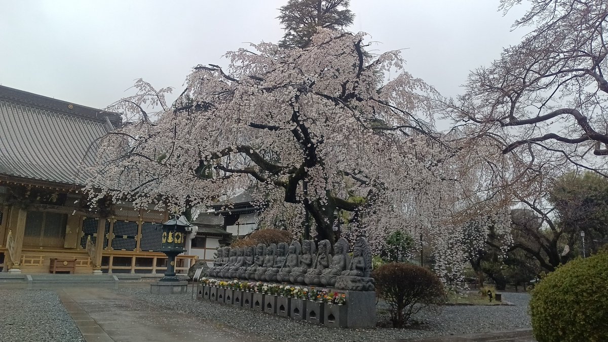 Smile MoMo tweet media