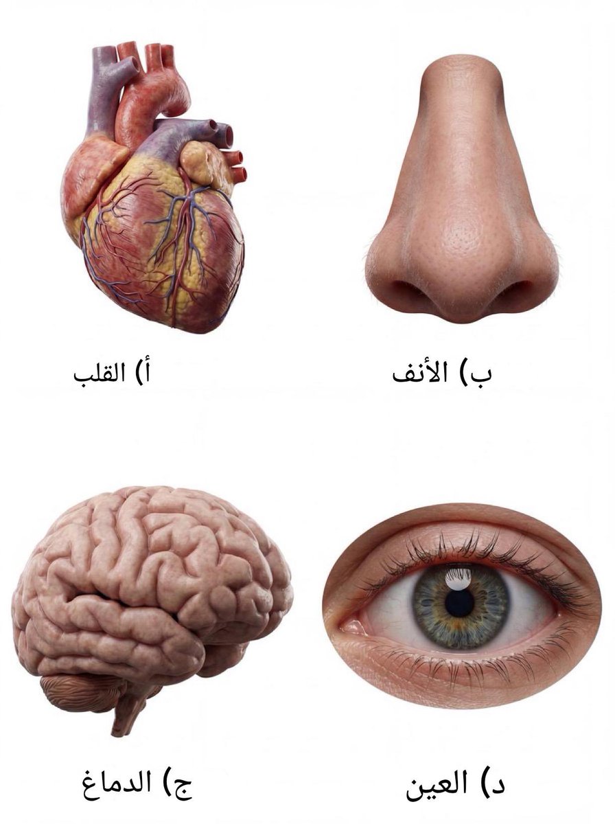 mostafa mahmoud tweet media
