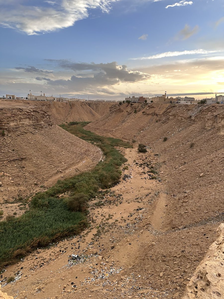 Bandar Alosaimi د. بندر العصيمي tweet media