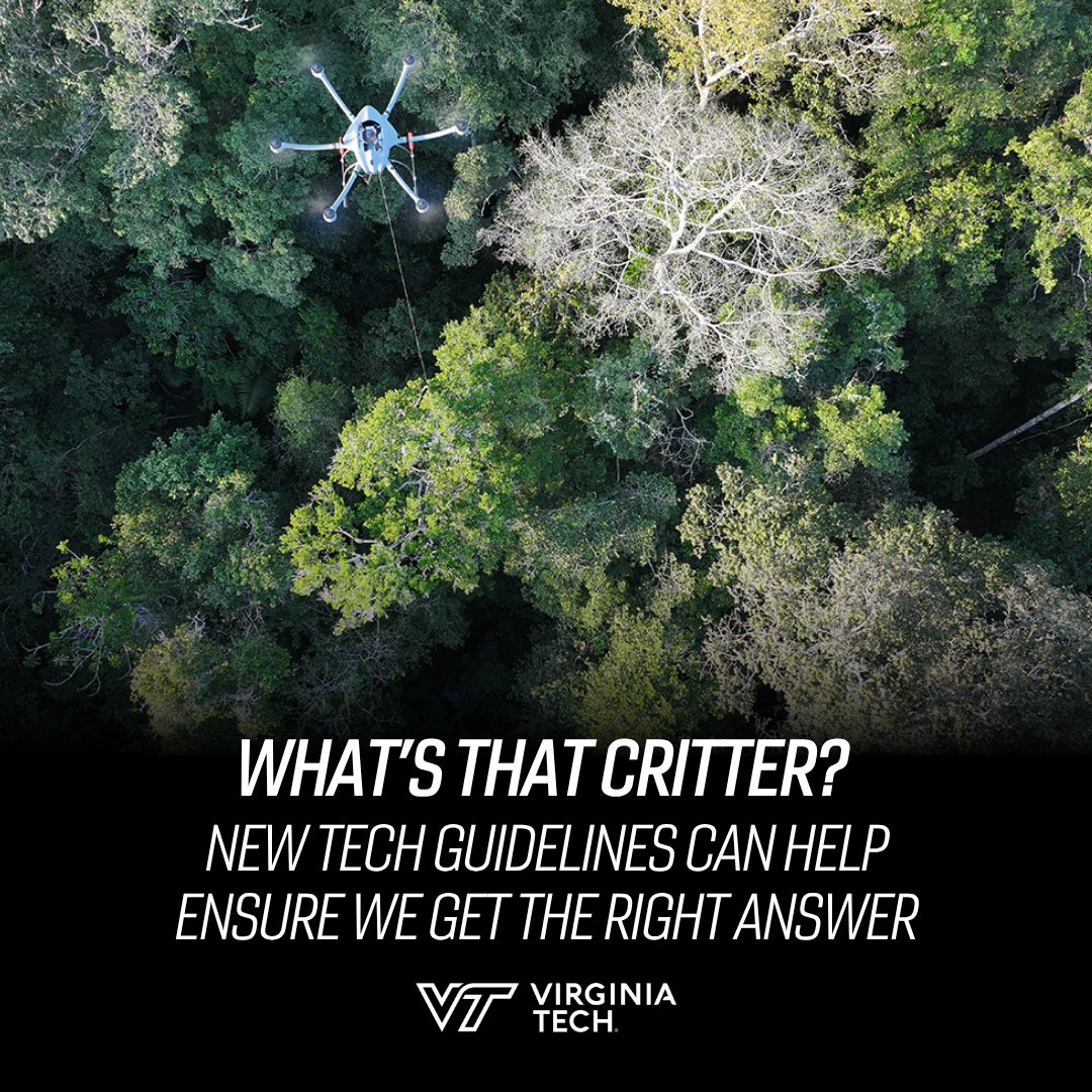 Virginia Tech News tweet media