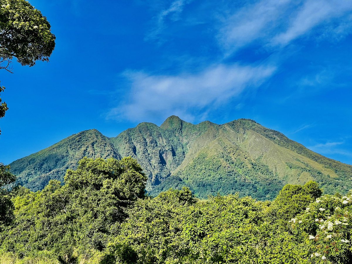 Mükalazi Jacob Zuma tweet media