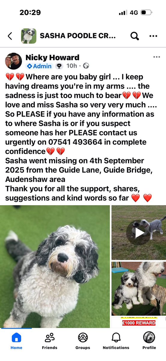 joannew0112's tweet image. @antonycotton  pls could you rt to all your followers 🙏 Sasha’s been missing for over 6 months now and not one single sighting, how can she just vanish 😔 missing #Audenshaw #manchester M34 since 4th Sept pls anyone with any info get in touch 🙏 #findsasha owners are heartbroken