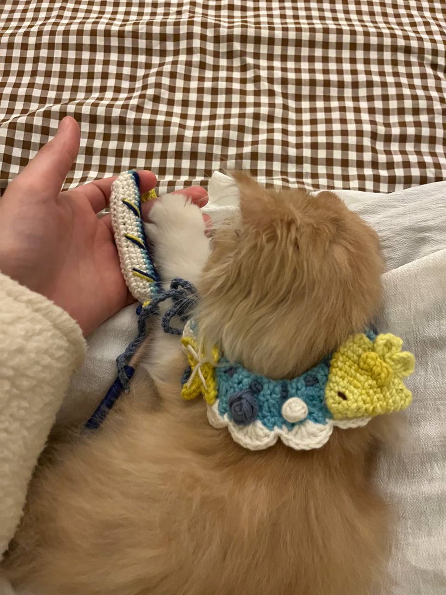 سُوهارُو tweet media