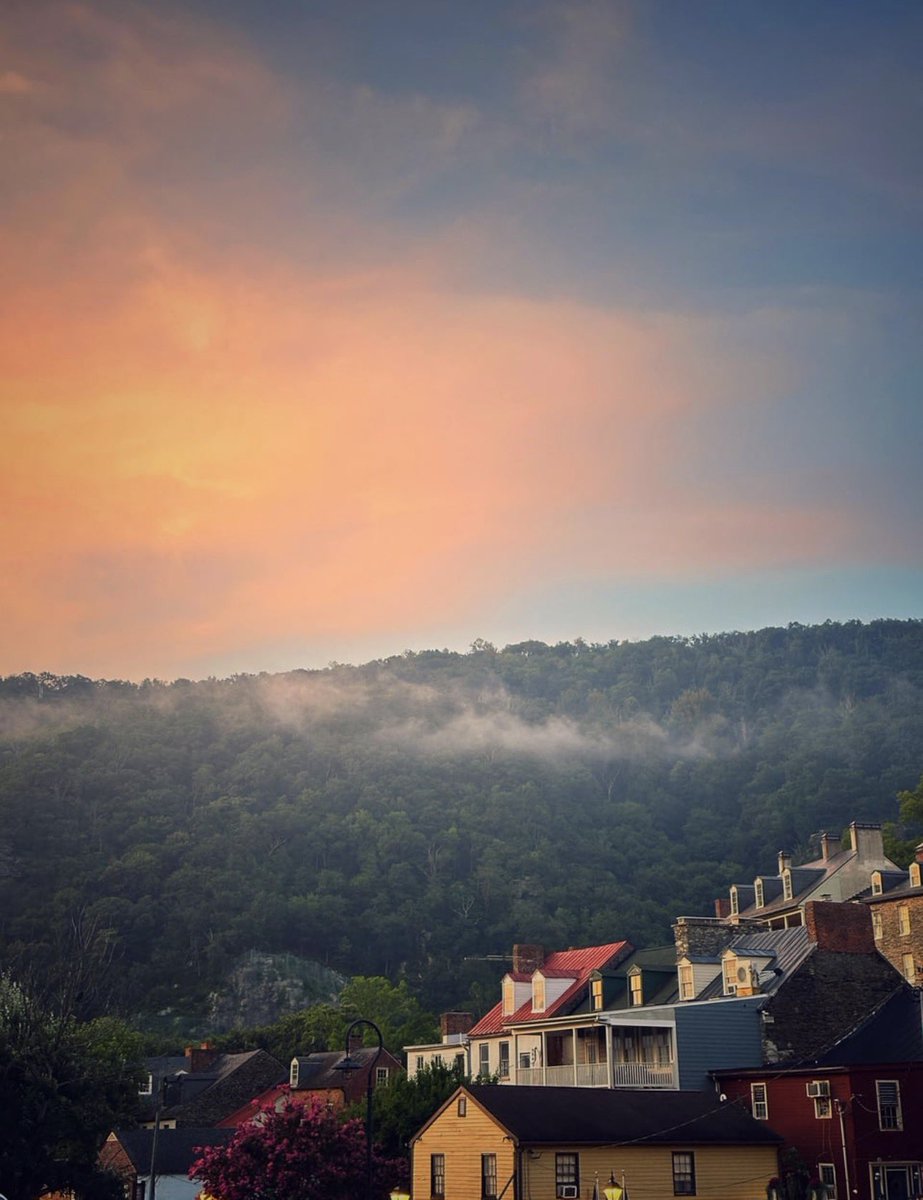 Pax Americana 🧊 tweet media