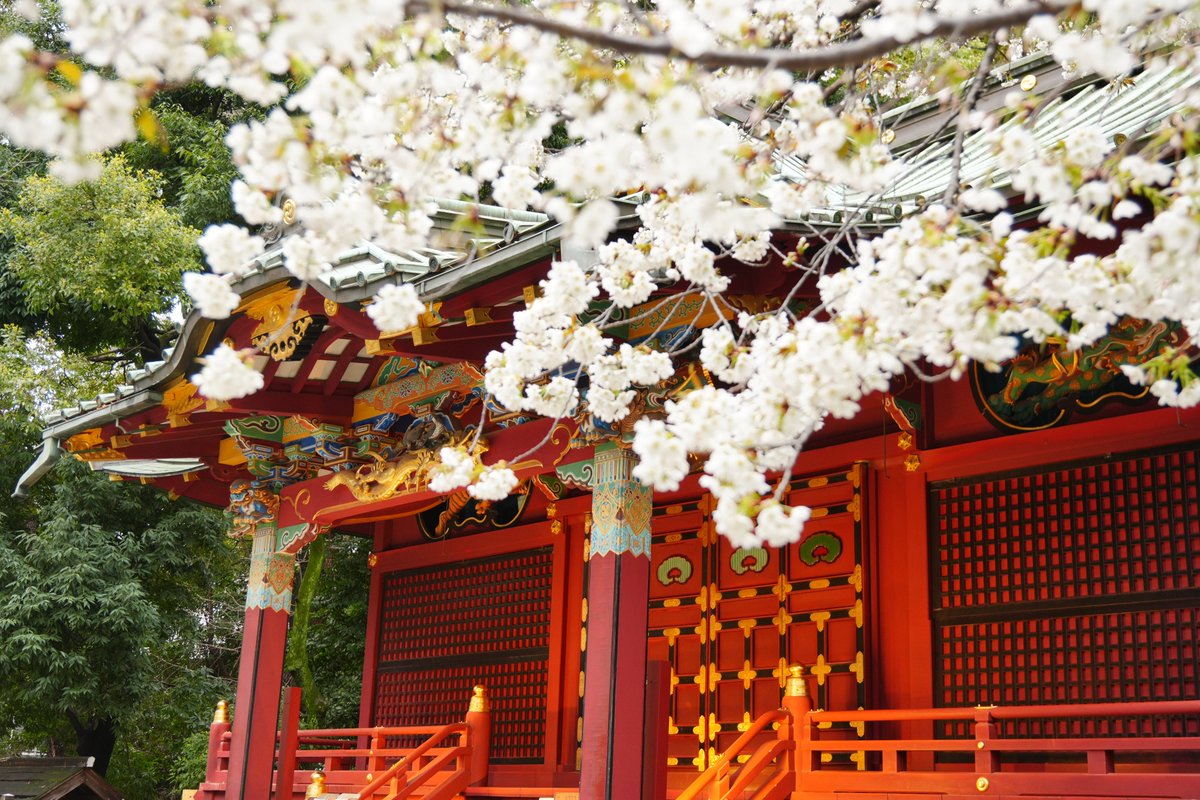 写時計屋 tweet media