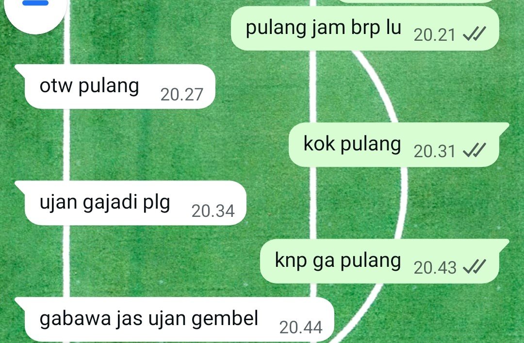 skihibie tweet media