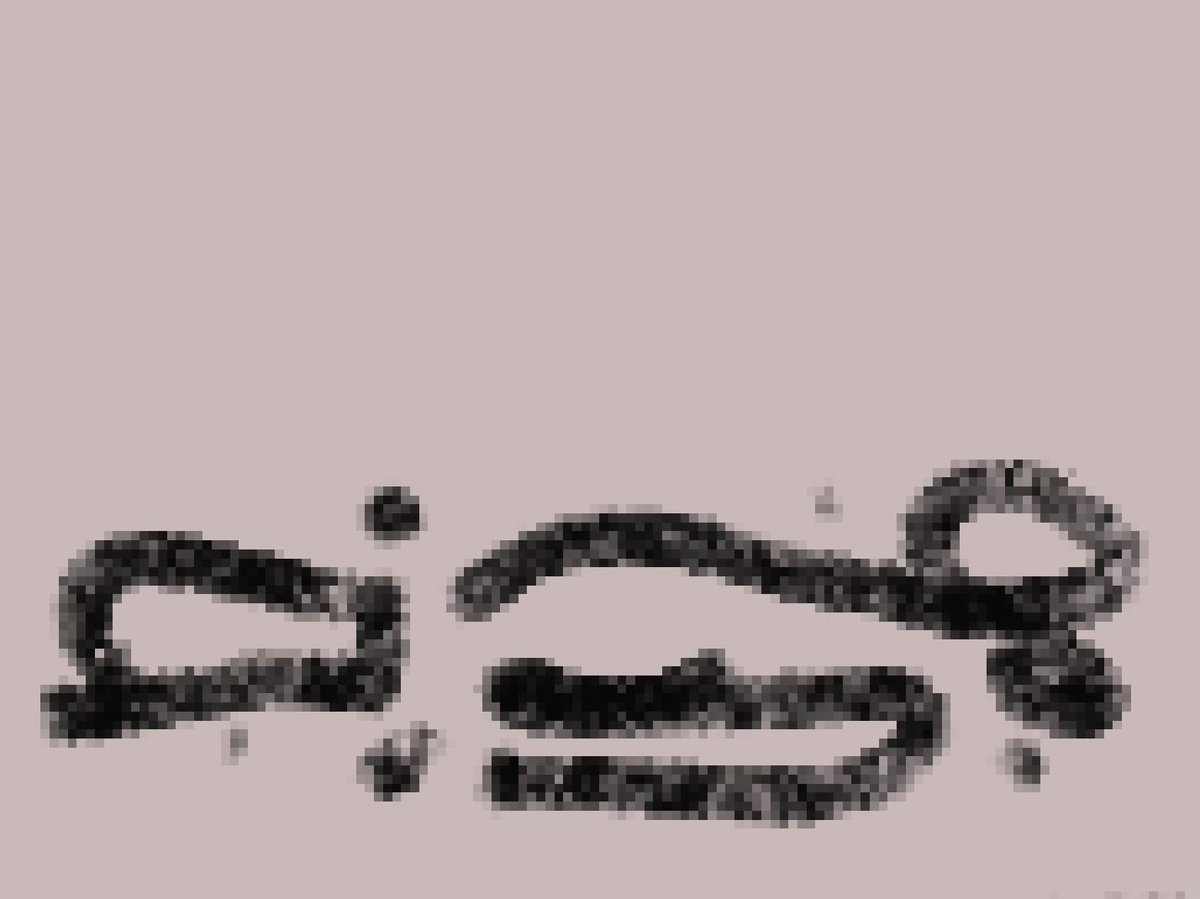 Seedy Littletale tweet media