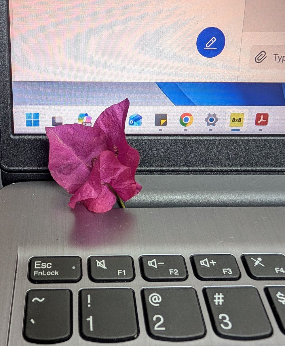 Virmanigayatri1's tweet photo. How obsessed are you with flowers?
Le me: https://t.co/4AhwHRy2Cq