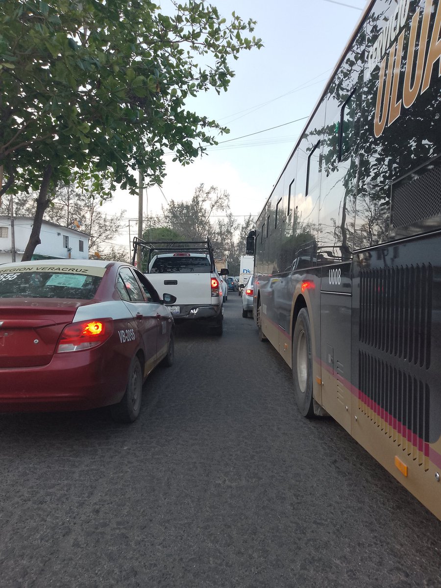 Denis y artemio tweet media