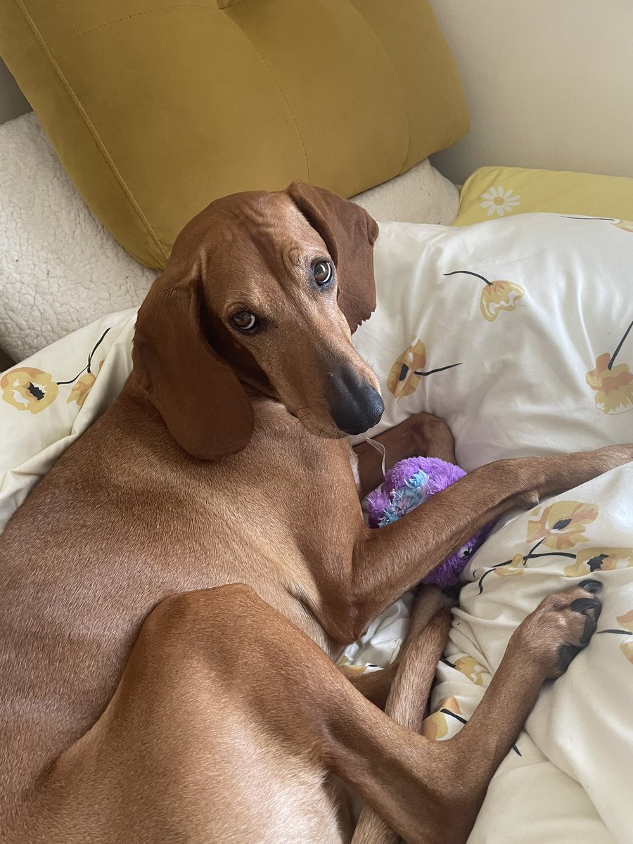 Bee0523 🏳️‍🌈 JUNHEE - SUPERNOVA tweet media