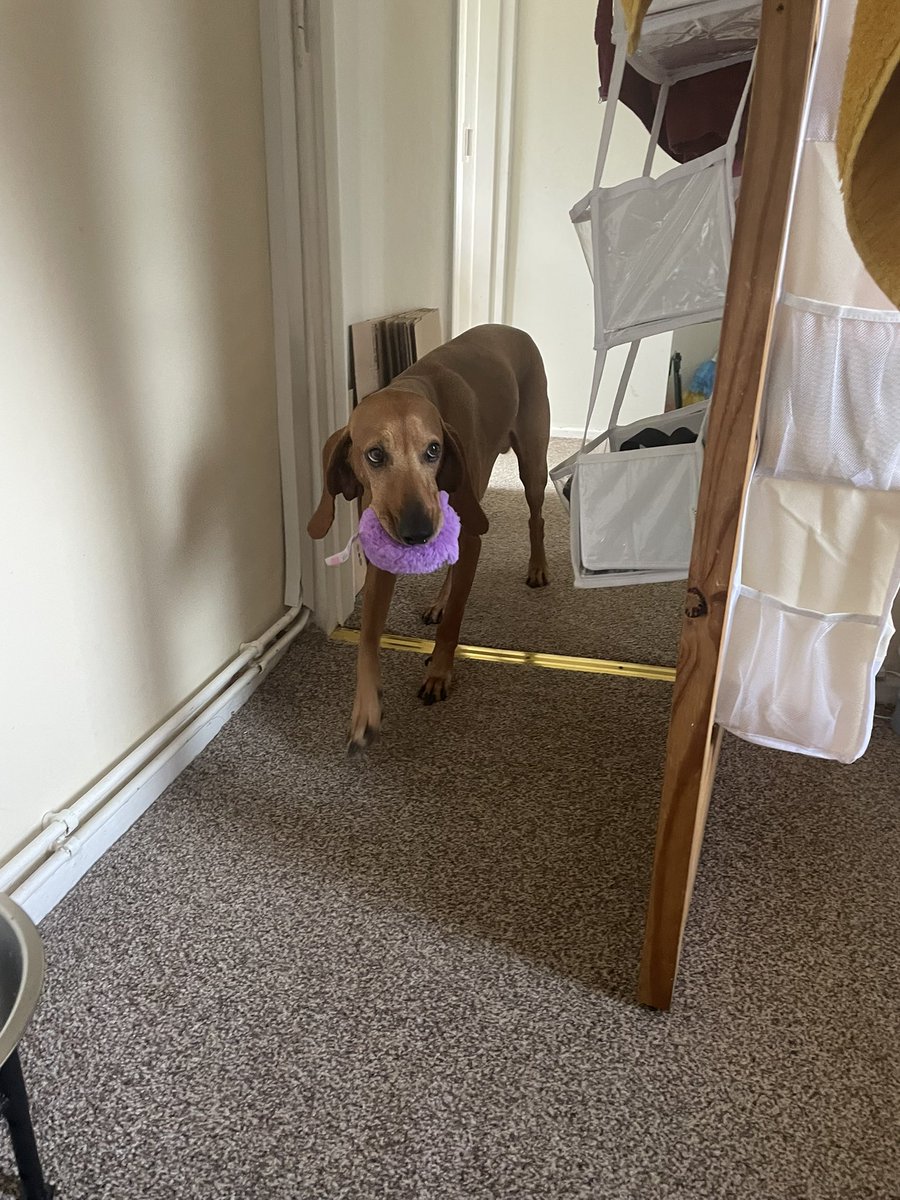 Bee0523 🏳️‍🌈 JUNHEE - SUPERNOVA tweet media