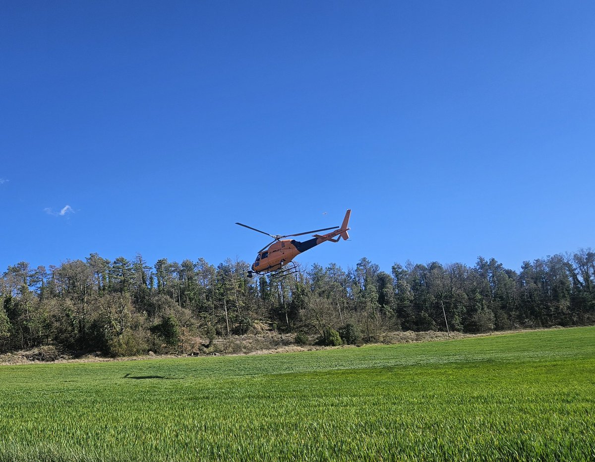 Esteban Peña tweet media