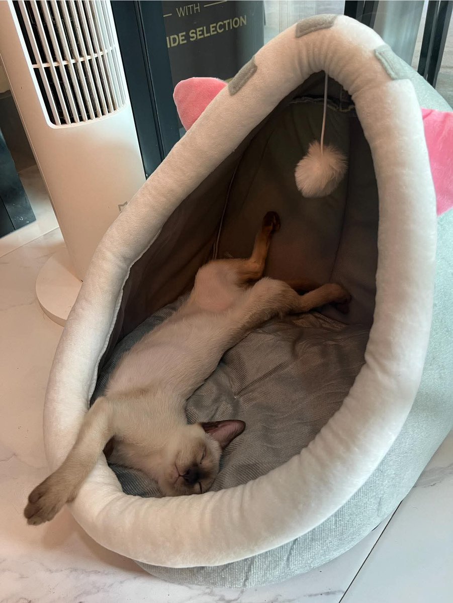 pu~pu~ที่เรียกว่าอุนยายเมนลูกพี่ถา😜 tweet media