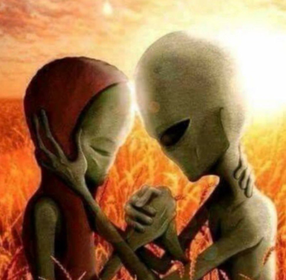 Paper Boi 🤡 tweet media