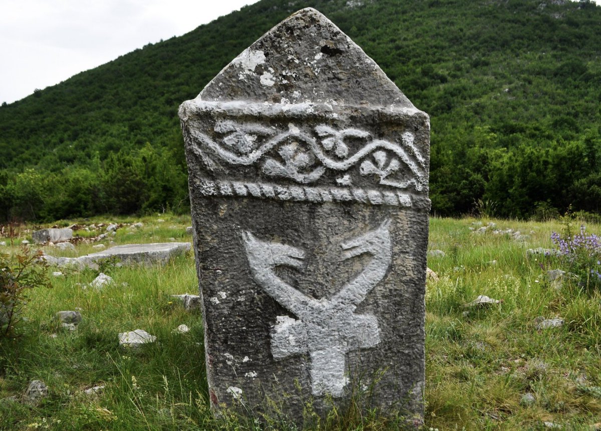 Bosnian History tweet media