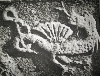 Bosnian History tweet media