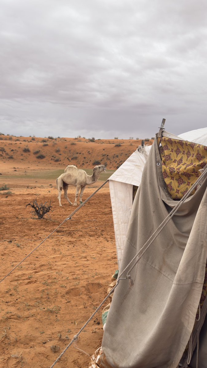 ًًٍٍٍَََُِ tweet media