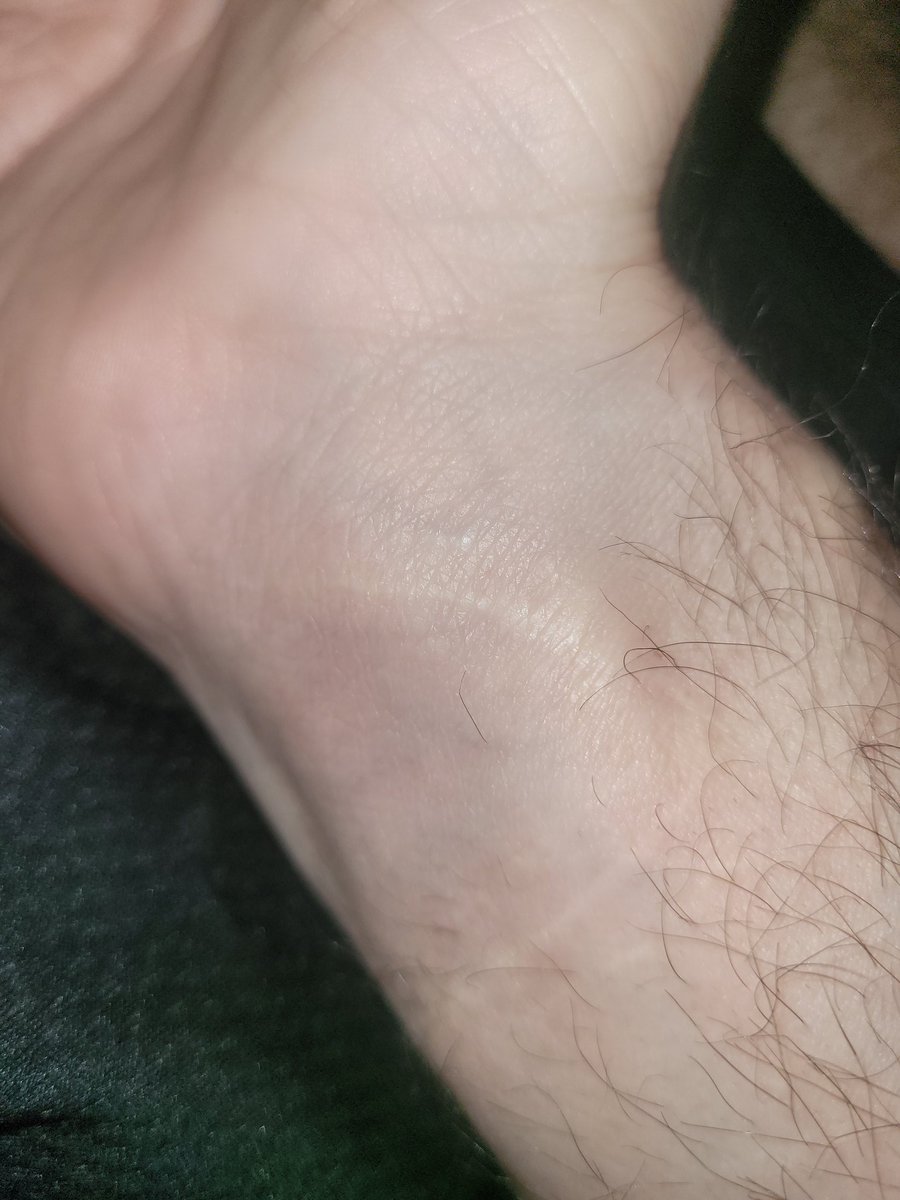 Wesley Parker tweet media