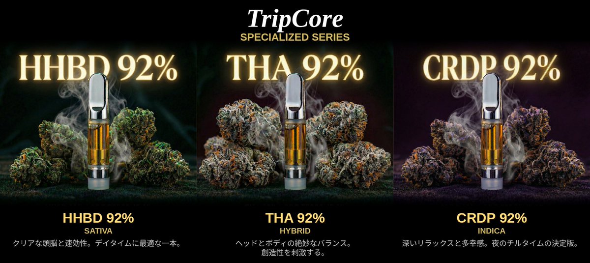 TripCore®︎公式 tweet media