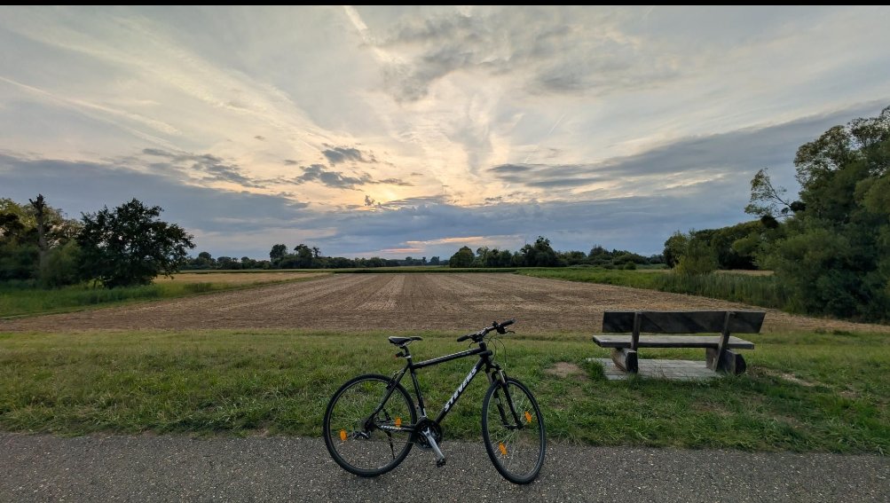 Lemon🇹🇷🇵🇰🇵🇸🇸🇩 tweet media