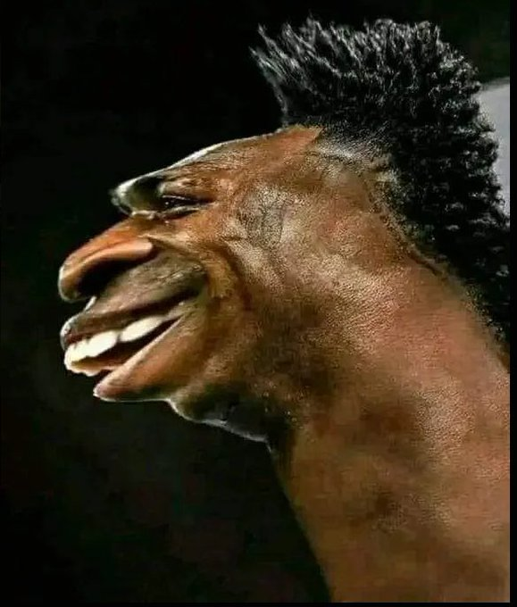 babahakkı tweet media