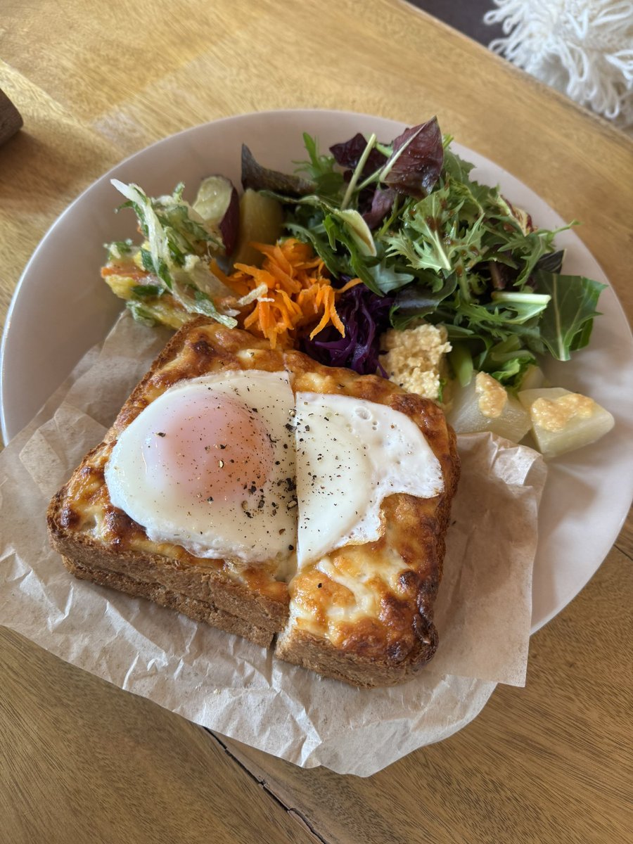 原田朱(ハラダシュウ) tweet media