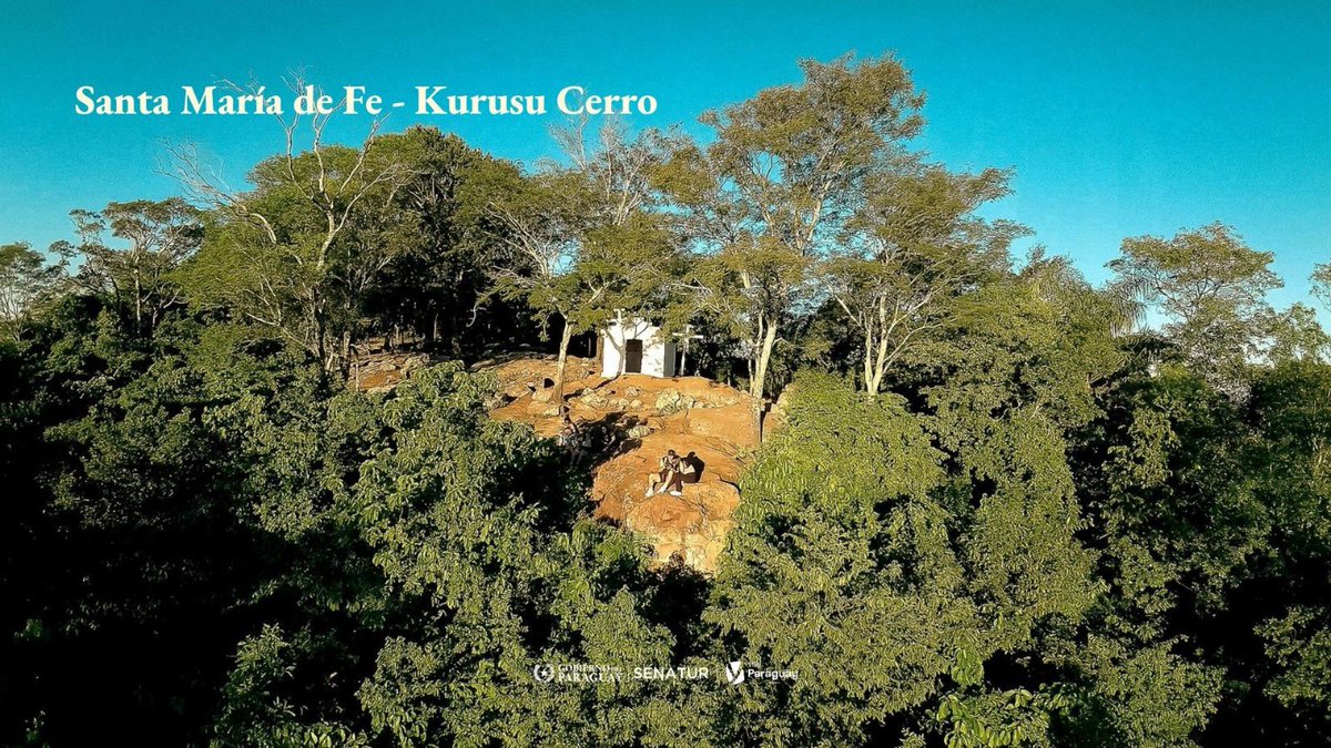 Pedro Alliana tweet media