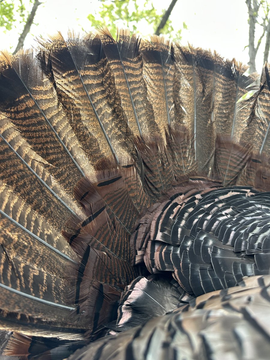 Bass Pro Shops tweet media