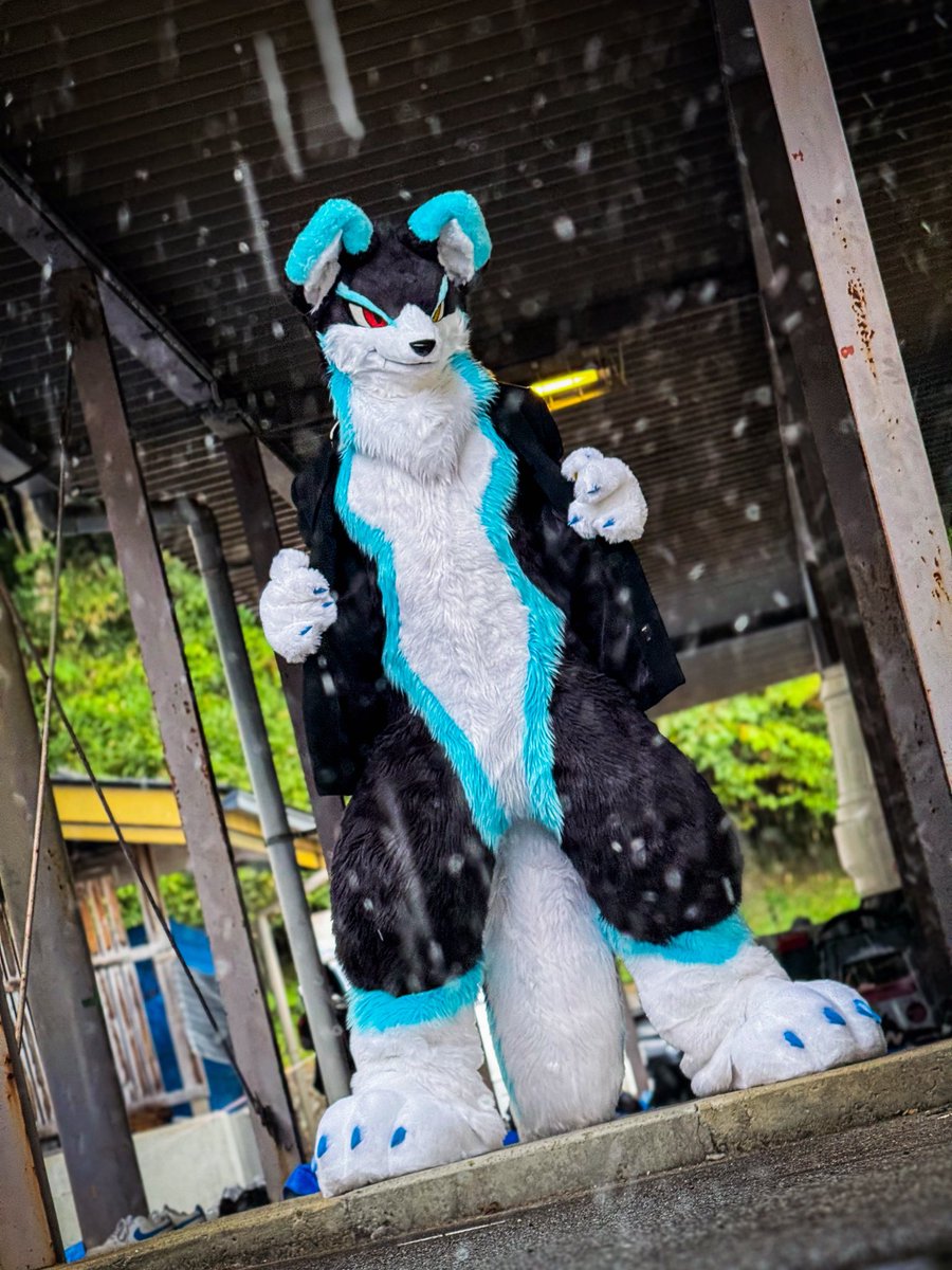 na-tell@NA$U tweet media