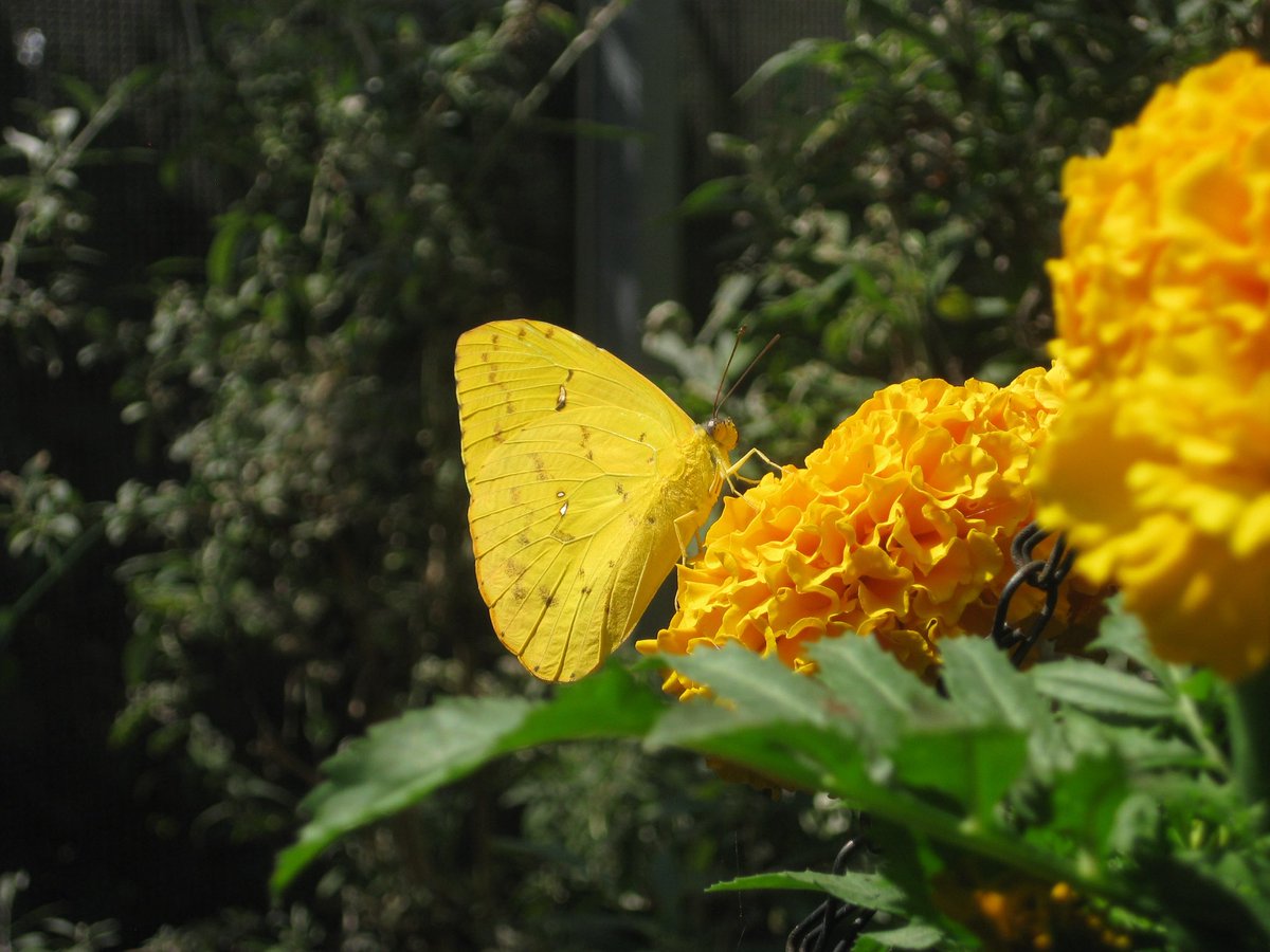 r ⛅️ tweet media